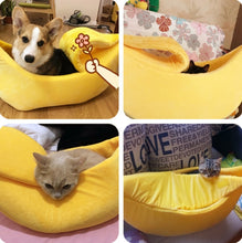 Load image into Gallery viewer, cute little pet beds