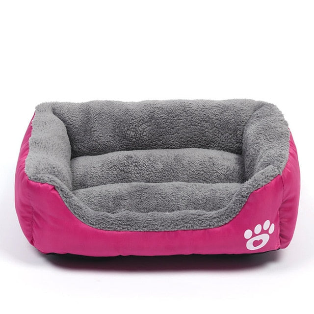 dog beds