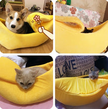 Load image into Gallery viewer, cute little pet beds
