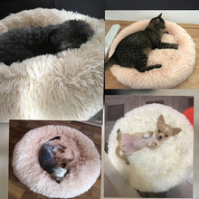 Load image into Gallery viewer, all weather pet beds
